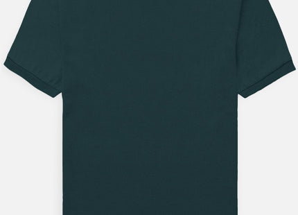 Back_3_c_38.jpg